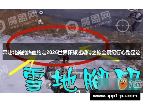 奔赴北美的热血约定2026世界杯球迷期待之旅全景纪行心路足迹