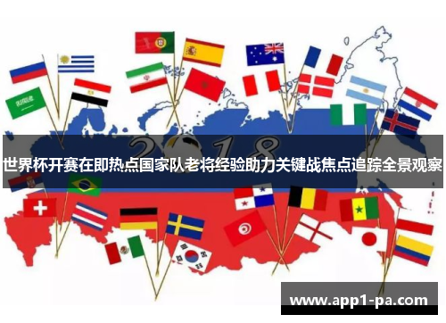 世界杯开赛在即热点国家队老将经验助力关键战焦点追踪全景观察