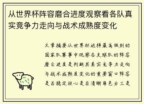 从世界杯阵容磨合进度观察看各队真实竞争力走向与战术成熟度变化
